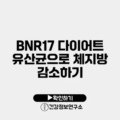 BNR17 다이어트 유산균으로 체지방 감소하기