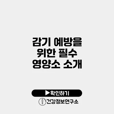 감기 예방을 위한 필수 영양소 소개