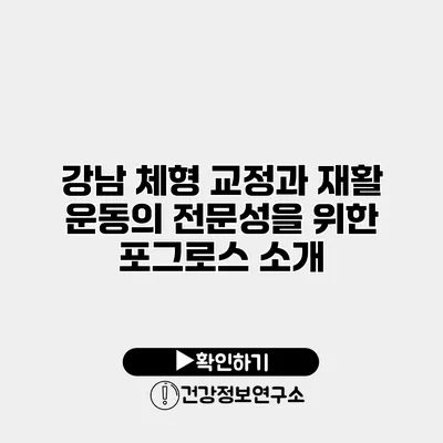 강남 체형 교정과 재활 운동의 전문성을 위한 포그로스 소개