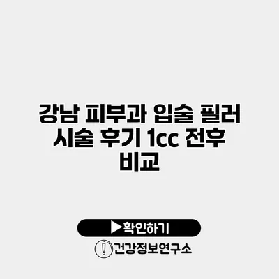 강남 피부과 입술 필러 시술 후기 1cc 전후 비교