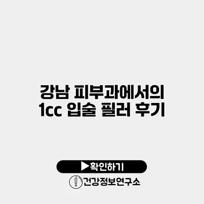 강남 피부과에서의 1cc 입술 필러 후기