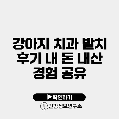 강아지 치과 발치 후기 내 돈 내산 경험 공유