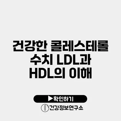 건강한 콜레스테롤 수치 LDL과 HDL의 이해