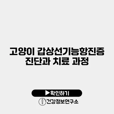 고양이 갑상선기능항진증 진단과 치료 과정