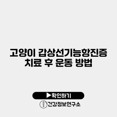 고양이 갑상선기능항진증 치료 후 운동 방법