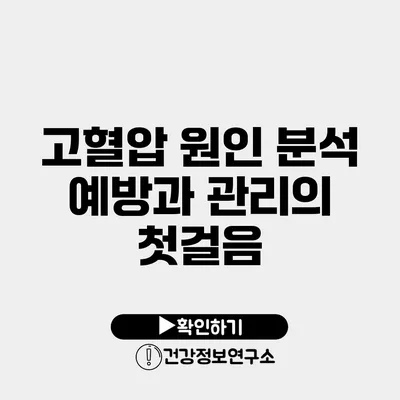 고혈압 원인 분석 예방과 관리의 첫걸음