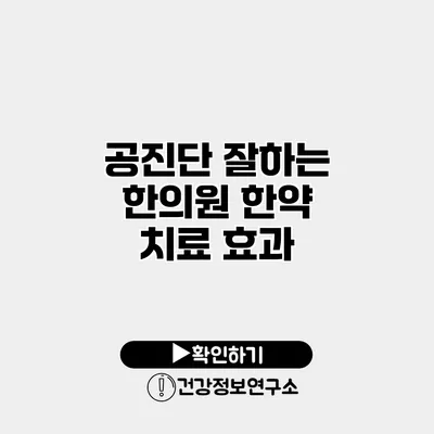 공진단 잘하는 한의원 한약 치료 효과