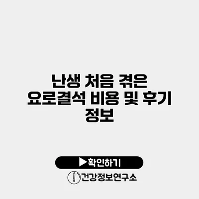 난생 처음 겪은 요로결석 비용 및 후기 정보