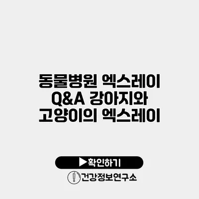 동물병원 엑스레이 Q&A 강아지와 고양이의 엑스레이