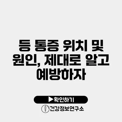 등 통증 위치 및 원인, 제대로 알고 예방하자