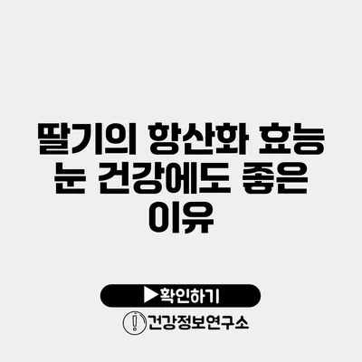 딸기의 항산화 효능 눈 건강에도 좋은 이유