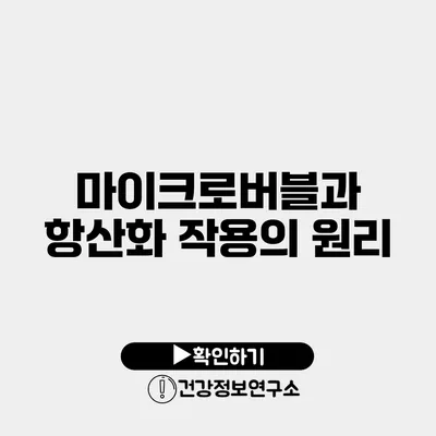 마이크로버블과 항산화 작용의 원리