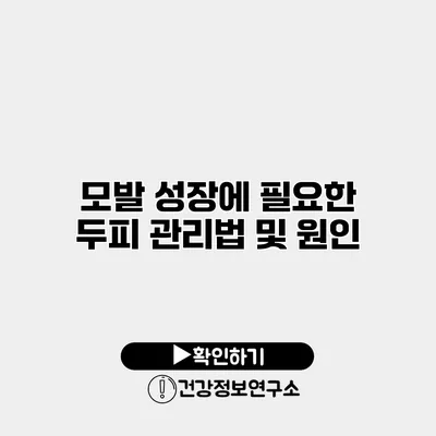 모발 성장에 필요한 두피 관리법 및 원인