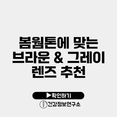 봄웜톤에 맞는 브라운 & 그레이 렌즈 추천
