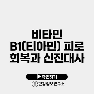 비타민 B1(티아민) 피로 회복과 신진대사