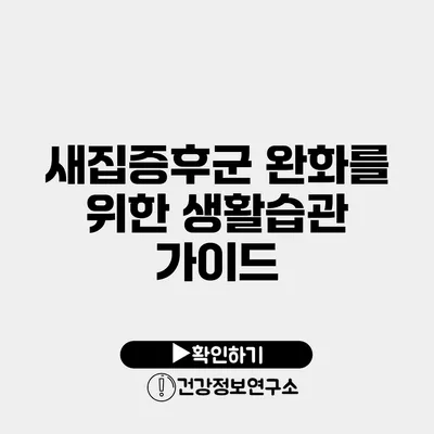 새집증후군 완화를 위한 생활습관 가이드