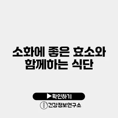 소화에 좋은 효소와 함께하는 식단