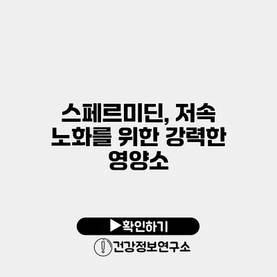 스페르미딘, 저속 노화를 위한 강력한 영양소