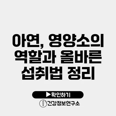 아연, 영양소의 역할과 올바른 섭취법 정리