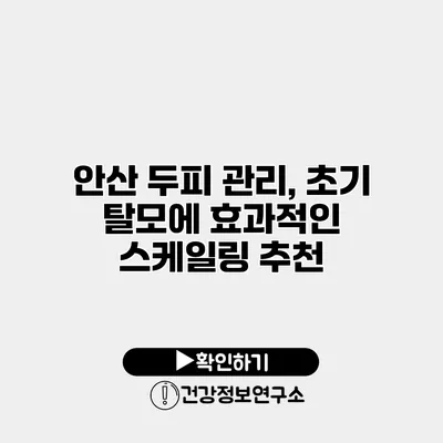 안산 두피 관리, 초기 탈모에 효과적인 스케일링 추천