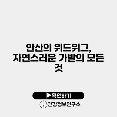 안산의 위드위그, 자연스러운 가발의 모든 것