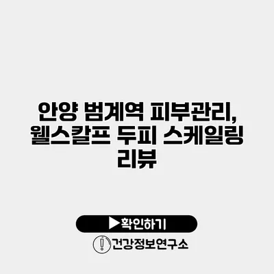 안양 범계역 피부관리, 웰스칼프 두피 스케일링 리뷰