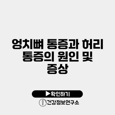 엉치뼈 통증과 허리 통증의 원인 및 증상