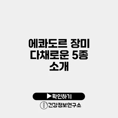 에콰도르 장미 다채로운 5종 소개