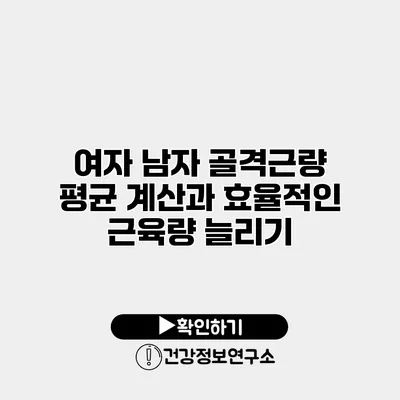 여자 남자 골격근량 평균 계산과 효율적인 근육량 늘리기