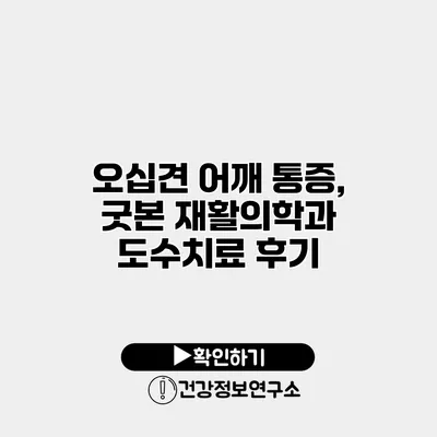 오십견 어깨 통증, 굿본 재활의학과 도수치료 후기