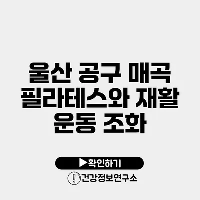 울산 공구 매곡 필라테스와 재활 운동 조화