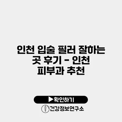 인천 입술 필러 잘하는 곳 후기 - 인천 피부과 추천