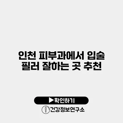 인천 피부과에서 입술 필러 잘하는 곳 추천