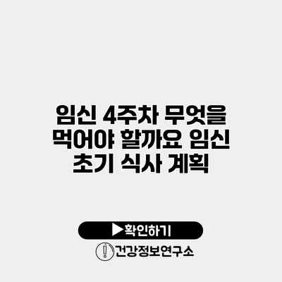 임신 4주차 무엇을 먹어야 할까요? 임신 초기 식사 계획