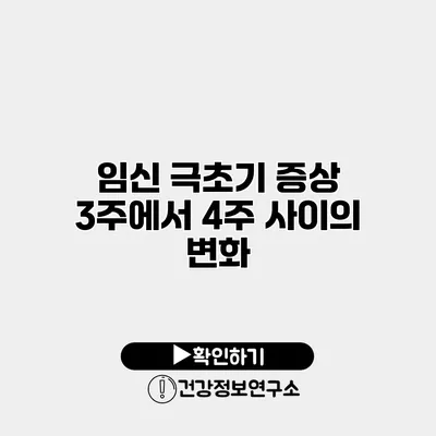 임신 극초기 증상 3주에서 4주 사이의 변화