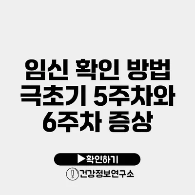 임신 확인 방법 극초기 5주차와 6주차 증상