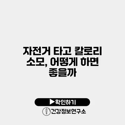 자전거 타고 칼로리 소모, 어떻게 하면 좋을까?