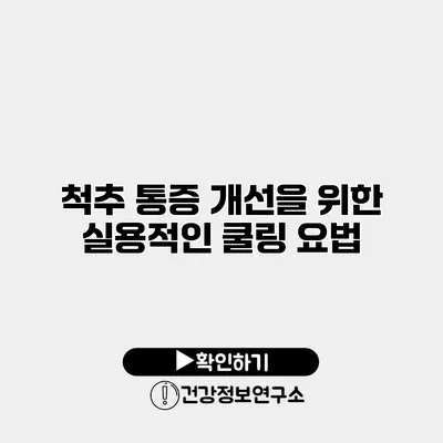 척추 통증 개선을 위한 실용적인 쿨링 요법