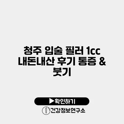 청주 입술 필러 1cc 내돈내산 후기 통증 & 붓기