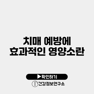 치매 예방에 효과적인 영양소란?