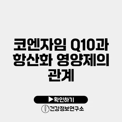 코엔자임 Q10과 항산화 영양제의 관계