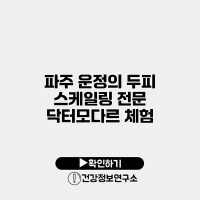 파주 운정의 두피 스케일링 전문 닥터모다르 체험