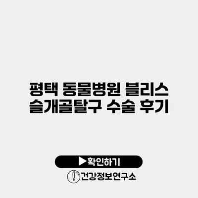 평택 동물병원 블리스 슬개골탈구 수술 후기