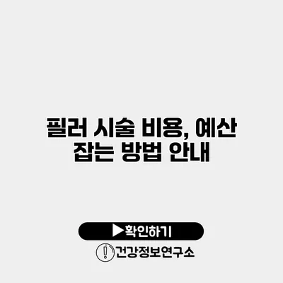 필러 시술 비용, 예산 잡는 방법 안내