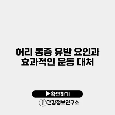 허리 통증 유발 요인과 효과적인 운동 대처