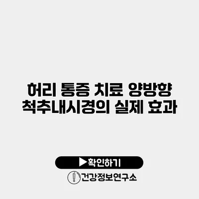 허리 통증 치료 양방향 척추내시경의 실제 효과