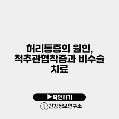 허리통증의 원인, 척추관협착증과 비수술 치료