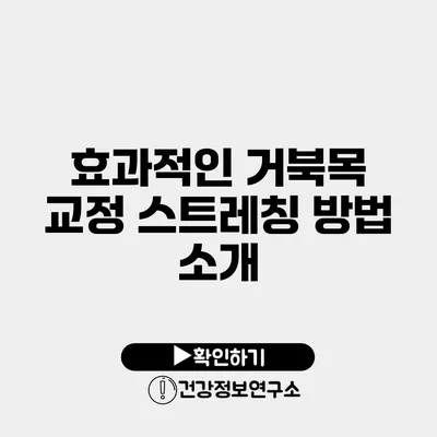 효과적인 거북목 교정 스트레칭 방법 소개