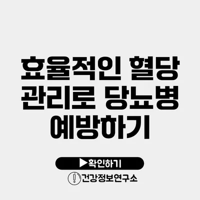 효율적인 혈당 관리로 당뇨병 예방하기
