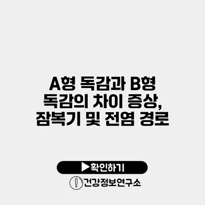 A형 독감과 B형 독감의 차이 증상, 잠복기 및 전염 경로